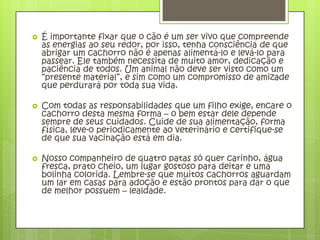    É importante fixar que o cão é um ser vivo que compreende
    as energias ao seu redor, por isso, tenha consciência de que
    abrigar um cachorro não é apenas alimentá-lo e levá-lo para
    passear. Ele também necessita de muito amor, dedicação e
    paciência de todos. Um animal não deve ser visto como um
    “presente material”, e sim como um compromisso de amizade
    que perdurará por toda sua vida.

   Com todas as responsabilidades que um filho exige, encare o
    cachorro desta mesma forma – o bem estar dele depende
    sempre de seus cuidados. Cuide de sua alimentação, forma
    física, leve-o periodicamente ao veterinário e certifique-se
    de que sua vacinação está em dia.

   Nosso companheiro de quatro patas só quer carinho, água
    fresca, prato cheio, um lugar gostoso para deitar e uma
    bolinha colorida. Lembre-se que muitos cachorros aguardam
    um lar em casas para adoção e estão prontos para dar o que
    de melhor possuem – lealdade.
 