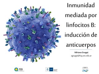 Inmunidad
mediada por
linfocitos B:
inducción de
anticuerpos
AdrianaGruppi
agruppi@fcq.unc.edu.ar
 