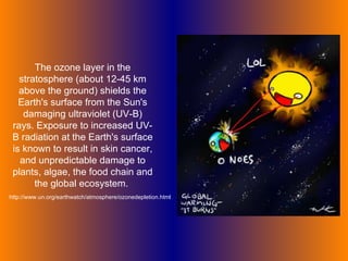 The ozone layer in the stratosphere (about 12-45 km above the ground) shields the Earth's surface from the Sun's damaging ultraviolet (UV-B) rays. Exposure to increased UV-B radiation at the Earth's surface is known to result in skin cancer, and unpredictable damage to plants, algae, the food chain and the global ecosystem.  http://www.un.org/earthwatch/atmosphere/ozonedepletion.html 