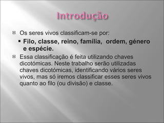 Os seres vivos classificam-se por: Filo, classe, reino, família,  ordem, género e espécie. Essa classificação é feita utilizando chaves dicotómicas. Neste trabalho serão utilizadas chaves dicotómicas, identificando vários seres vivos, mas só iremos classificar esses seres vivos quanto ao filo (ou divisão) e classe. 