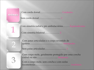 Com corda dorsal……………………….  Cordados Sem corda dorsal……………………….  1 Com simetria radial e pés ambulacrários……… Equinodermes Com simetria bilateral……………….  2 Com patas articuladas e o corpo revestido de  quitina……………………………………  Artrópedes Sem patas articuladas………………………  3   Com corpo mole, geralmente protegido por uma concha visível ou não……………………...  Moluscos   Com o corpo mole, sem concha e com sedas locomotoras………………………………………  Anelídeos 