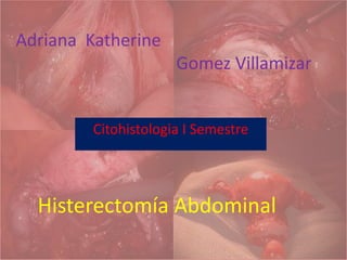 Adriana Katherine
                      Gomez Villamizar


         Citohistologia I Semestre




  Histerectomía Abdominal
 