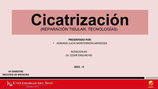 Cicatrización
(REPARACIÓN TISULAR, TECNOLOGÍAS)
PRESENTADO POR:
• ADRIANA LUCIA MONTERROSA MENDOZA
ROTACION #3
Dr. CESAR ENSUNCHO
VII SEMESTRE
FACULTAD DE MEDICINA
2021 - II
 