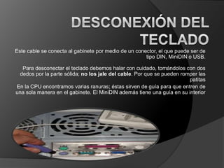 Este cable se conecta al gabinete por medio de un conector, el que puede ser de
                                                      tipo DIN, MiniDIN o USB.

  Para desconectar el teclado debemos halar con cuidado, tomándolos con dos
 dedos por la parte sólida; no los jale del cable. Por que se pueden romper las
                                                                        patitas
En la CPU encontramos varias ranuras; éstas sirven de guía para que entren de
una sola manera en el gabinete. El MiniDIN además tiene una guía en su interior
 