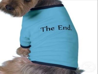 Adriana personal passion project