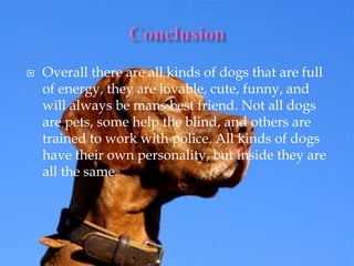  Overall there are all kinds of dogs that are full
of energy, they are lovable, cute, funny, and
will always be mans best friend. Not all dogs
are pets, some help the blind, and others are
trained to work with police. All kinds of dogs
have their own personality, but inside they are
all the same.
 
