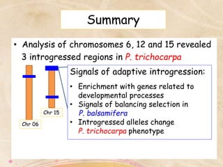 Summary
• Analysis of chromosomes 6, 12 and 15 revealed
3 introgressed regions in P. trichocarpa
Chr 15
Chr 06
Signals of adaptive introgression:
• Enrichment with genes related to
developmental processes
• Signals of balancing selection in
P. balsamifera
• Introgressed alleles change
P. trichocarpa phenotype
 