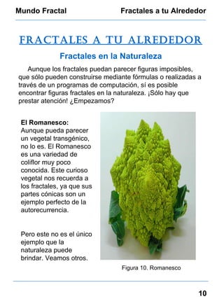 Mundo Fractal Fractales a tu Alrededor 10 fractales a tu alrededor Fractales en la Naturaleza Aunque los fractales puedan parecer figuras imposibles, que sólo pueden construirse mediante fórmulas o realizadas a través de un programas de computación, sí es posible encontrar figuras fractales en la naturaleza. ¡Sólo hay que prestar atención! ¿Empezamos? Figura 10. Romanesco El Romanesco:  Aunque pueda parecer un vegetal transgénico, no lo es. El Romanesco es una variedad de coliflor muy poco conocida. Este curioso vegetal nos recuerda a los fractales, ya que sus partes cónicas son un ejemplo perfecto de la autorecurrencia. Pero este no es el único ejemplo que la naturaleza puede brindar. Veamos otros. 