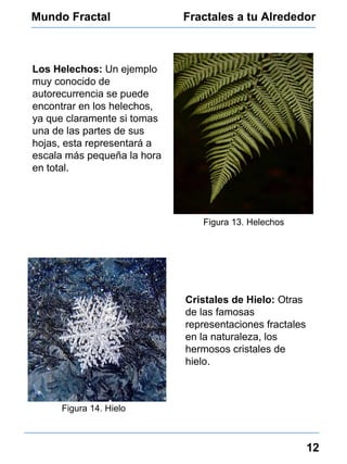 Mundo Fractal Fractales a tu Alrededor 12 Figura 13. Helechos Los Helechos:  Un ejemplo muy conocido de autorecurrencia se puede encontrar en los helechos, ya que claramente si tomas una de las partes de sus hojas, esta representará a escala más pequeña la hora en total. Figura 14. Hielo Cristales de Hielo:  Otras de las famosas representaciones fractales en la naturaleza, los hermosos cristales de hielo. 