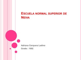 ESCUELA NORMAL SUPERIOR DE
NEIVA
Adriana Cerquera Ladino
Grado : 1002
 