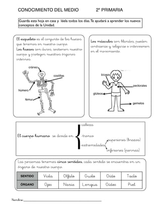 Conocimiento del medio I 2ºprimaria