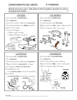 Conocimiento del medio I 2ºprimaria