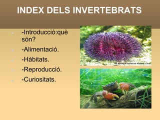 INDEX DELS INVERTEBRATS

   -Introducció:què
    són?
   -Alimentació.
   -Hàbitats.
   -Reproducció.
   -Curiositats.
 