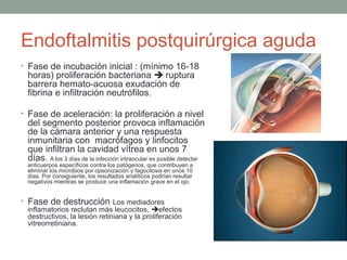 Endoftalmitis postquirúrgica aguda
• Fase de incubación inicial : (mínimo 16-18
horas) proliferación bacteriana  ruptura
barrera hemato-acuosa exudación de
fibrina e infiltración neutrófilos.
• Fase de aceleración: la proliferación a nivel
del segmento posterior provoca inflamación
de la cámara anterior y una respuesta
inmunitaria con macrófagos y linfocitos
que infiltran la cavidad vítrea en unos 7
días. A los 3 días de la infección intraocular es posible detectar
anticuerpos específicos contra los patógenos, que contribuyen a
eliminar los microbios por opsonización y fagocitosis en unos 10
días. Por consiguiente, los resultados analíticos podrían resultar
negativos mientras se produce una inflamación grave en el ojo.
• Fase de destrucción Los mediadores
inflamatorios reclutan más leucocitos, efectos
destructivos, la lesión retiniana y la proliferación
vitreorretiniana.
 