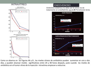 ENDOVENOSOINTRAVÍTREO
Antibiótico sistémico no debe ser la única vía de
tratamiento en endoftalmitis aguda Penetración lenta
Como se observa en las Figuras 4A y B , los niveles vítreos de antibiótico pueden aumentar en uno o dos
días, y pueden alcanzar niveles significativos entre 24 y 48 horas después, justo cuando los niveles de
antibiótico en el humor vítreo de la inyección intravítrea empiezan a reducirse.
 