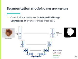 Skin Lesion Detection from Dermoscopic Images using Convolutional ...