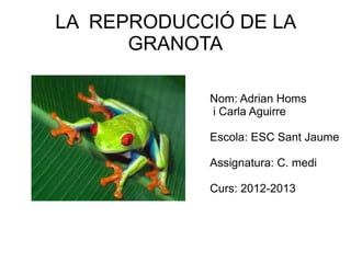 LA REPRODUCCIÓ DE LA
      GRANOTA

            Nom: Adrian Homs
            i Carla Aguirre

            Escola: ESC Sant Jaume

            Assignatura: C. medi

            Curs: 2012-2013
 