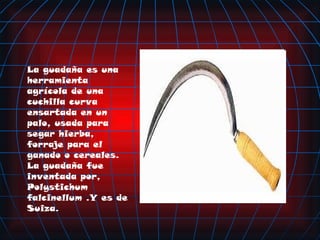 La guadaña es una herramienta agrícola de una cuchilla curva ensartada en un palo, usada para segar hierba, forraje para el ganado o cereales. La guadaña fue inventada por, Polystichum falcinellum .Y es de Suiza. 