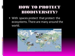 HOW TO PROTECT
BIODIVERSITY?
 With spaces protect that protect the
ecosystems.There are many around the
world.
 