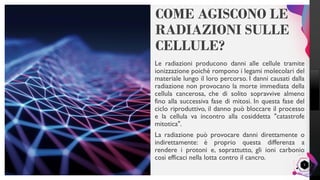 LisandroMilanesi
COME AGISCONO LE
RADIAZIONI SULLE
CELLULE?
Le radiazioni producono danni alle cellule tramite
ionizzazione poiché rompono i legami molecolari del
materiale lungo il loro percorso. I danni causati dalla
radiazione non provocano la morte immediata della
cellula cancerosa, che di solito sopravvive almeno
fino alla successiva fase di mitosi. In questa fase del
ciclo riproduttivo, il danno può bloccare il processo
e la cellula va incontro alla cosiddetta "catastrofe
mitotica".
La radiazione può provocare danni direttamente o
indirettamente: è proprio questa differenza a
rendere i protoni e, soprattutto, gli ioni carbonio
così efficaci nella lotta contro il cancro.
5
 