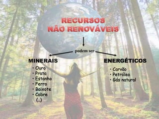 podem ser

MINERAIS                 ENERGÉTICOS
 • Ouro                   • Carvão
 • Prata                  • Petróleo
 • Estanho                • Gás natural
 • Ferro
 • Baixote
 • Cobre
   (..)
 