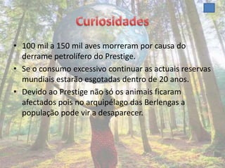 • 100 mil a 150 mil aves morreram por causa do
  derrame petrolífero do Prestige.
• Se o consumo excessivo continuar as actuais reservas
  mundiais estarão esgotadas dentro de 20 anos.
• Devido ao Prestige não só os animais ficaram
  afectados pois no arquipélago das Berlengas a
  população pode vir a desaparecer.
 
