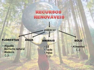podem ser


FLORESTAS            ÁGUA   ANIMAIS        SOLO
• Algodão                    • Lã        • Alimentos
• Borracha natural           • Seda           (…)
• Madeira                    • Peles
  (…)                          (…)
 
