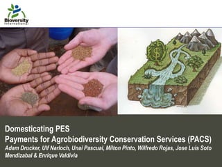 Domesticating PES
Payments for Agrobiodiversity Conservation Services (PACS)
Adam Drucker, Ulf Narloch, Unai Pascual, Milton Pinto, Wilfredo Rojas, Jose Luis Soto
Mendizabal & Enrique Valdivia
 