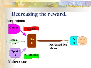 Decreasing the reward.
Rimonabant
DA
n
N
A
Opioid
s
Nico
tine
Canna
b
Glutamat
e
GABA
Decreased DA
release
Naltrexone
 