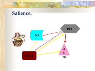 Salience.
DA n
NA
PFC
A
m
yg
 