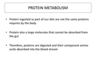 PROTEIN METABOLISM
• Protein ingested as part of our diet are not the same proteins
requires by the body
• Protein also a large molecules that cannot be absorbed from
the gut
• Therefore, proteins are digested and their component amino
acids absorbed into the blood stream
 