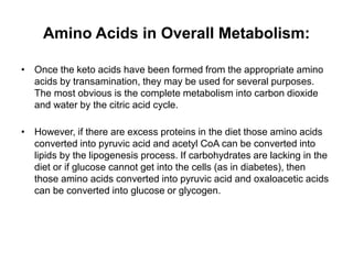 Amino Acids in Overall Metabolism:
• Once the keto acids have been formed from the appropriate amino
acids by transamination, they may be used for several purposes.
The most obvious is the complete metabolism into carbon dioxide
and water by the citric acid cycle.
• However, if there are excess proteins in the diet those amino acids
converted into pyruvic acid and acetyl CoA can be converted into
lipids by the lipogenesis process. If carbohydrates are lacking in the
diet or if glucose cannot get into the cells (as in diabetes), then
those amino acids converted into pyruvic acid and oxaloacetic acids
can be converted into glucose or glycogen.
 