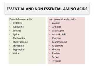 Essential amino acids
• Histidine
• Isoleucine
• Leucine
• Lysine
• Methionine
• Phenylalanine
• Threonine
• Tryptophan
• Valine
ESSENTIAL AND NON ESSENTIAL AMINO ACIDS
Non essential amino acids
• Alanine
• Arginine
• Asparagine
• Aspartic Acid
• Cysteine
• Glutamic acid
• Glutamine
• Glycine
• Proline
• Serine
• Tyrosine
 