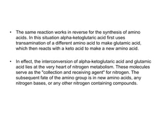 • The same reaction works in reverse for the synthesis of amino
acids. In this situation alpha-ketoglutaric acid first uses
transamination of a different amino acid to make glutamic acid,
which then reacts with a keto acid to make a new amino acid.
• In effect, the interconversion of alpha-ketoglutaric acid and glutamic
acid lies at the very heart of nitrogen metabolism. These molecules
serve as the "collection and receiving agent" for nitrogen. The
subsequent fate of the amino group is in new amino acids, any
nitrogen bases, or any other nitrogen containing compounds.
 