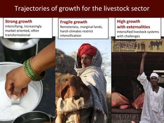 Mixed crop-livestock systems: Indispensable means to achieving global food and nutritional security