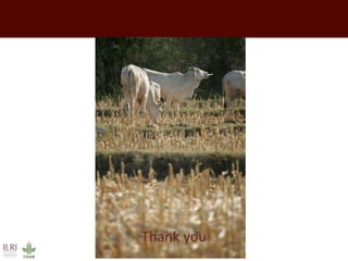 Mixed crop-livestock systems: Indispensable means to achieving global food and nutritional security