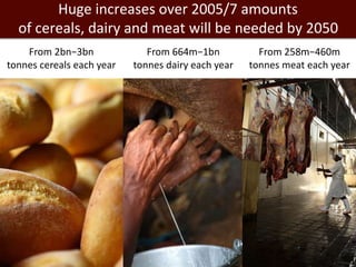 Mixed crop-livestock systems: Indispensable means to achieving global food and nutritional security