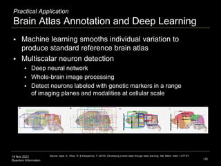 19 Nov 2022
Quantum Information
Practical Application
Brain Atlas Annotation and Deep Learning
 Machine learning smooths individual variation to
produce standard reference brain atlas
 Multiscalar neuron detection
 Deep neural network
 Whole-brain image processing
 Detect neurons labeled with genetic markers in a range
of imaging planes and modalities at cellular scale
130
Source: Iqbal, A., Khan, R. & Karayannis, T. (2019). Developing a brain atlas through deep learning. Nat. Mach. Intell. 1:277-87.
 