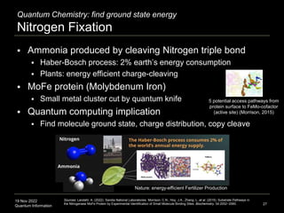 19 Nov 2022
Quantum Information 27
Quantum Chemistry: find ground state energy
Nitrogen Fixation
 Ammonia produced by cleaving Nitrogen triple bond
 Haber-Bosch process: 2% earth’s energy consumption
 Plants: energy efficient charge-cleaving
 MoFe protein (Molybdenum Iron)
 Small metal cluster cut by quantum knife
 Quantum computing implication
 Find molecule ground state, charge distribution, copy cleave
Sources: Landahl, A. (2022). Sandia National Laboratories. Morrison, C.N., Hoy, J.A., Zhang, L. et al. (2015). Substrate Pathways in
the Nitrogenase MoFe Protein by Experimental Identification of Small Molecule Binding Sites. Biochemistry. 54:2052−2060.
Nature: energy-efficient Fertilizer Production
5 potential access pathways from
protein surface to FeMo-cofactor
(active site) (Morrison, 2015)
 