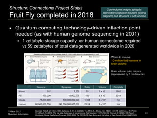 19 Nov 2022
Quantum Information 61
Structure: Connectome Project Status
Fruit Fly completed in 2018
 Worm to mouse:
 10-million-fold increase in
brain volume
 Brain volume: cubic microns
(represented by 1 cm distance)
 Quantum computing technology-driven inflection point
needed (as with human genome sequencing in 2001)
 1 zettabyte storage capacity per human connectome required
vs 59 zettabytes of total data generated worldwide in 2020
Sources: Abbott, L.F., Bock, D.D., Callaway, E.M. et al. (2020). The Mind of a Mouse. Cell. 182(6):1372-76. Lichtman, J.W., Pfister,
H. & Shavit, N. (2014). The big data challenges of connectomics. Nat Neurosci. 17(11):1448-54. Reinsel, D. (2020). IDC Report:
Worldwide Global DataSphere Forecast, 2020-2024: The COVID-19 Data Bump and the Future of Data Growth (Doc US44797920).
Neurons Synapses Ratio Volume Complete
Worm 302 7,500 25 5 x 104 1992
Fly 100,000 10,000,000 100 5 x 107 2018
Mouse 71,000,000 100,000,000,000 1,408 5 x 1011 NA
Human 86,000,000,000 242,000,000,000,000 2,814 5 x 1014 NA
Connectome: map of synaptic
connections between neurons (wiring
diagram), but structure is not function
 