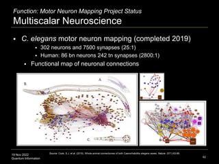 19 Nov 2022
Quantum Information
Function: Motor Neuron Mapping Project Status
Multiscalar Neuroscience
62
Source: Cook, S.J. et al. (2019). Whole-animal connectomes of both Caenorhabditis elegans sexes. Nature. (571):63-89.
 C. elegans motor neuron mapping (completed 2019)
 302 neurons and 7500 synapses (25:1)
 Human: 86 bn neurons 242 tn synapses (2800:1)
 Functional map of neuronal connections
 