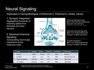 19 Nov 2022
Quantum Information
Neural Signaling
Image Credit: Okinawa Institute of Science and Technology
NEURON: Standard computational neuroscience modeling software
Scale Number Size Size (m) NEURON Microscopy
1 Neuron 86 bn 100 μm 10-4 ODE Electron
2 Synapse 242 tn 1 μm 10-6 ODE Electron/Light field
3 Signaling pathway unknown 1 nm 10-9 PDE Light sheet
4 Ion channel unknown 1 pm 10-12 PDE Light sheet
Electrical-Chemical Signaling
Math: PDE (Partial Differential
Equation: multiple unknowns)
Electrical Signaling (Axon)
Math: ODE (Ordinary Differential
Equation: one unknown)
1. Synaptic Integration:
Aggregating thousands of
incoming spikes from
dendrites and other
neurons
2. Electrical-Chemical
Signaling:
Incorporating neuron-glia
interactions at the
molecular scale
63
Implicated in neuropathologies of Alzheimer’s, Parkinson’s, stroke, cancer
Synaptic Integration
Math: PDE (Partial Differential
Equation: multiple unknowns)
 