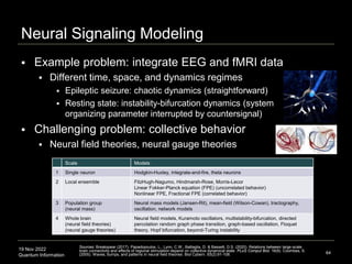 19 Nov 2022
Quantum Information
Neural Signaling Modeling
 Example problem: integrate EEG and fMRI data
 Different time, space, and dynamics regimes
 Epileptic seizure: chaotic dynamics (straightforward)
 Resting state: instability-bifurcation dynamics (system
organizing parameter interrupted by countersignal)
 Challenging problem: collective behavior
 Neural field theories, neural gauge theories
64
Scale Models
1 Single neuron Hodgkin-Huxley, integrate-and-fire, theta neurons
2 Local ensemble FitzHugh-Nagumo, Hindmarsh-Rose, Morris-Lecor
Linear Fokker-Planck equation (FPE) (uncorrelated behavior)
Nonlinear FPE, Fractional FPE (correlated behavior)
3 Population group
(neural mass)
Neural mass models (Jansen-Rit), mean-field (Wilson-Cowan), tractography,
oscillation, network models
4 Whole brain
(neural field theories)
(neural gauge theories)
Neural field models, Kuramoto oscillators, multistability-bifurcation, directed
percolation random graph phase transition, graph-based oscillation, Floquet
theory, Hopf bifurcation, beyond-Turing instability
Sources: Breakspear (2017). Papadopoulos, L., Lynn, C.W., Battaglia, D. & Bassett, D.S. (2020). Relations between large-scale
brain connectivity and effects of regional stimulation depend on collective dynamical state. PLoS Comput Biol. 16(9). Coombes, S.
(2005). Waves, bumps, and patterns in neural field theories. Biol Cybern. 93(2):91-108.
 