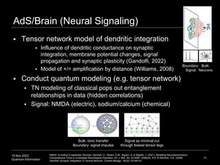19 Nov 2022
Quantum Information
AdS/Brain (Neural Signaling)
71
NMDA: N-methyl-D-aspartate Sources: Gandolfi, D., Boiani, G.M., Bigiani, A. & Mapelli, J. (2021). Modeling Neurotransmission:
Computational Tools to Investigate Neurological Disorders. Int. J. Mol. Sci. 22:4565. Williams, S.R. & Atkinson, S.E. (2008).
Dendritic Synaptic Integration in Central Neurons. Current Biology. 18(22). R1045-47.
Bulk: ionic transfer
Boundary: signal impulse
 Tensor network model of dendritic integration
 Influence of dendritic conductance on synaptic
integration, membrane potential changes, signal
propagation and synaptic plasticity (Gandolfi, 2022)
 Model of +/= amplification by distance (Williams, 2008)
 Conduct quantum modeling (e.g. tensor network)
 TN modeling of classical pops out entanglement
relationships in data (hidden correlations)
 Signal: NMDA (electric), sodium/calcium (chemical)
Signal as minimal cut
through fewest tensor legs
Boundary:
Signal
Bulk:
Neurons
 