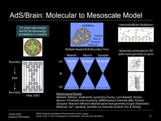 19 Nov 2022
Quantum Information
AdS/Brain: Molecular to Mesoscale Model
72
MERA: Multiscale Entanglement Renormalization Ansatz (guess)
Source: Vidal, G. (2007). Entanglement renormalization. Phys Rev Lett. 99(220405).
Boundary
Bulk
Boundary
Vidal, 2007
UV (near high-energy)
and IR (far low-energy)
correlations in a system
Neuron
Network
AdS/Brain
Synapse
Molecule
Network
Neuron Synapse
Neuron
Molecule
Synapse
Multiple Nested Bulk-Boundary Tiers
Mathematical Models
Network: Melonic, small-world, synchrony (Gurau, Lynn-Bassett, Nunez)
Neuron: Threshold subunit pooling, NMDA/sodium channels (Mel, Poirazi)
Synapse: Reaction-diffusion elliptical spine head geometry (Cugno-Sejnowski)
Molecule: Ca2+ signaling, dendritic ion channels (Sudhof, Kim & Sheng)
UV
IR
UV
Spherical coordinates for 3D
spike head geometry (Cugno)
Lifted AdS/MERA (McMahon)
 