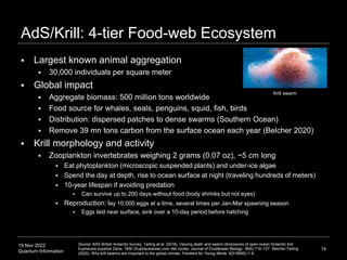 19 Nov 2022
Quantum Information
AdS/Krill: 4-tier Food-web Ecosystem
 Largest known animal aggregation
 30,000 individuals per square meter
 Global impact
 Aggregate biomass: 500 million tons worldwide
 Food source for whales, seals, penguins, squid, fish, birds
 Distribution: dispersed patches to dense swarms (Southern Ocean)
 Remove 39 mn tons carbon from the surface ocean each year (Belcher 2020)
 Krill morphology and activity
 Zooplankton invertebrates weighing 2 grams (0.07 oz), ~5 cm long
 Eat phytoplankton (microscopic suspended plants) and under-ice algae
 Spend the day at depth, rise to ocean surface at night (traveling hundreds of meters)
 10-year lifespan if avoiding predation
 Can survive up to 200 days without food (body shrinks but not eyes)
 Reproduction: lay 10,000 eggs at a time, several times per Jan-Mar spawning season
 Eggs laid near surface, sink over a 10-day period before hatching
74
Source: BAS British Antarctic Survey: Tarling et al. (2018). Varying depth and swarm dimensions of open-ocean Antarctic krill
Euphausia superba Dana, 1850 (Euphausiacea) over diel cycles. Journal of Crustacean Biology. 38(6):716–727. Belcher-Tarling
(2020). Why krill swarms are important to the global climate. Frontiers for Young Minds. 8(518995):1–8.
Krill swarm
 