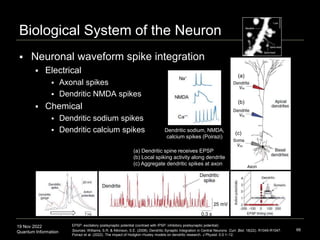 19 Nov 2022
Quantum Information
Biological System of the Neuron
 Neuronal waveform spike integration
 Electrical
 Axona...