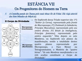5. A Centelha pende da Chama pelo mais tênue fio de Fohat. Ela viaja através
dos Sete Mundos de Mâyâ (a).
 Os Sephiroth dessa Tríade superior são: 1º)
"Kether (a Coroa), representada pela fronte
do Macroposopo; 2º) Chokmah (a Sabedoria,
Princípio Masculino), representado pelo seu
ombro direito; 3º) Binah (a Inteligência,
Princípio feminino), representada pelo
ombro esquerdo." Vêm depois os sete
Membros, ou Sephiroth nos planos da
manifestação; sendo a totalidade destes
quatro planos representada por
Microposopo, a Face Menor ou
Tetragrammaton, o Mistério de "quatro
letras". "Os sete Membros manifestados e os
três ocultos constituem o Corpo da
Divindade.“
Macroposopo
(Imanifestado)
Microposopo
(Manifestado)
O Corpo da Divindade
 