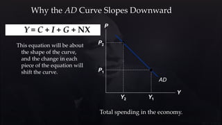 Why the AD Curve Slopes Downward
P
Y
AD
P1
Y1
P2
Y2 Y1
Y = C + I + G + NX
This equation will be about
the shape of the curve,
and the change in each
piece of the equation will
shift the curve.
Total spending in the economy.
 