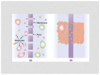 BIOPHAMACEUICS- UNIT 1- DRUG ABSORPTION